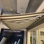 ( Locatie Zwolle ) Zonnescherm, Ardesch , Nolina knik arm, Wit-donkerg